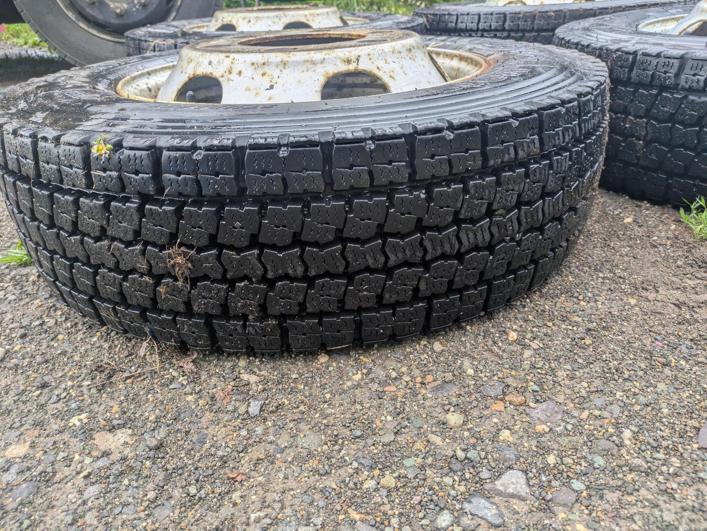 タイヤ　スタッドレスタイヤ（SNOW）　TOYO　M919 　215/70R17.5 123/121J（中古）