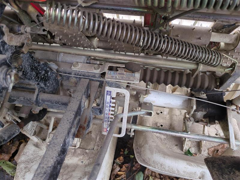 d8db68c2-0a8f-4c88-855a-171105496985.jpg